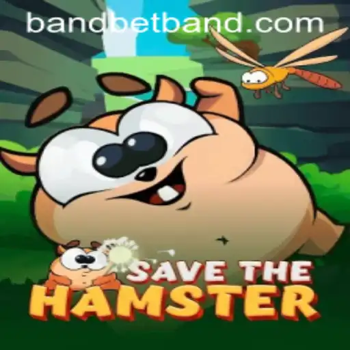 Unveiling SavetheHamster: The Latest Gaming Sensation Paired with Bandbet Excitement